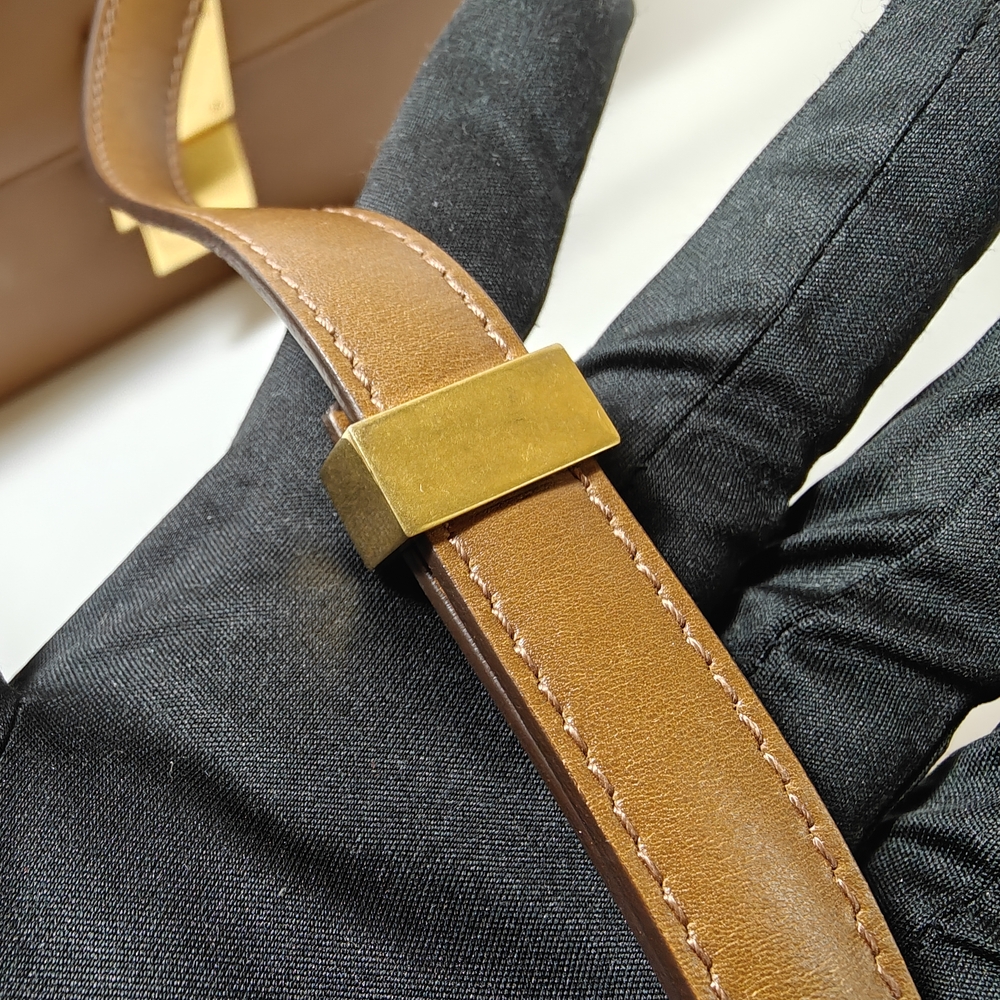 Celine Classic Box Flap Medium Calfskin Leather Bag Caramel - Picture 13 of 16